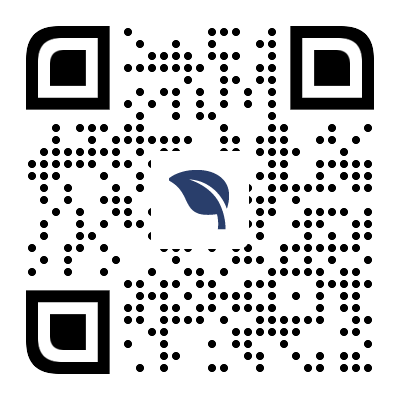 上海某某科技有限公司