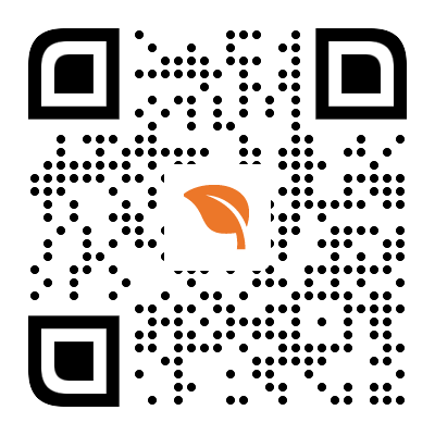 上海某某科技有限公司